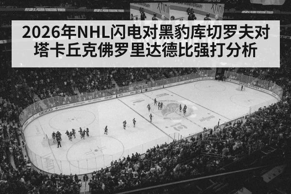 ice hockey arena night crowd